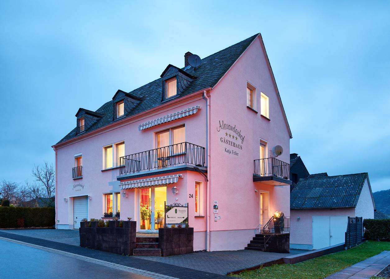 Gaestehaus Alexanderhof Leiwen Exterior photo